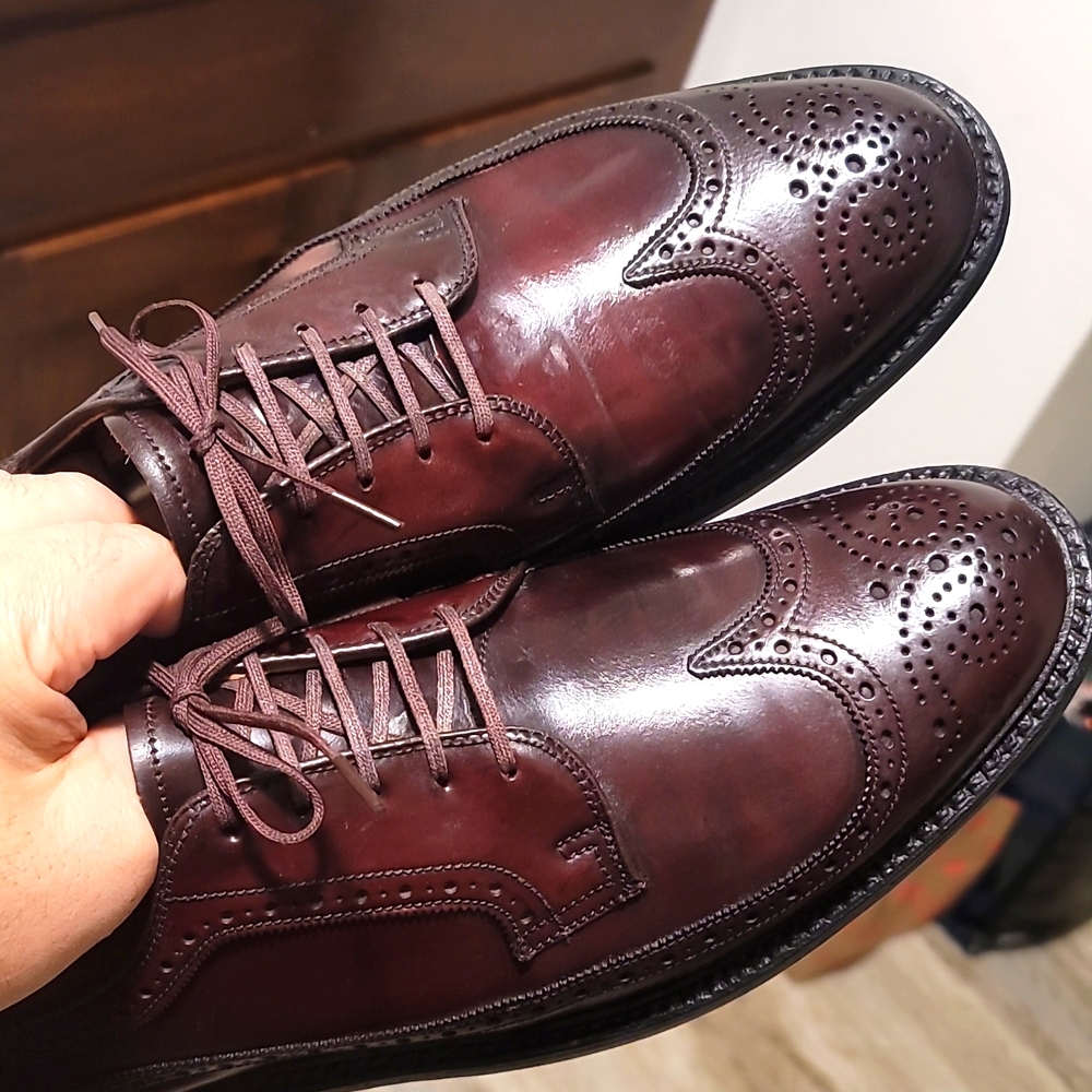 Shell Cordovan shoes